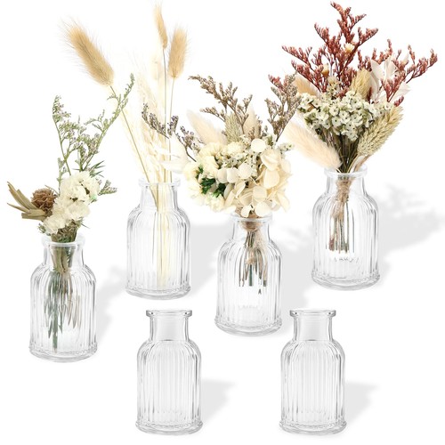 Mini glass bud vases - mini,