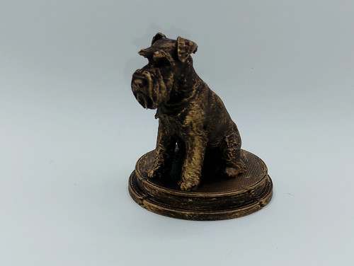 Miniature schnauzer dog - miniature,