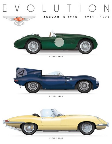 Jaguar type evolution wall - jaguar,
