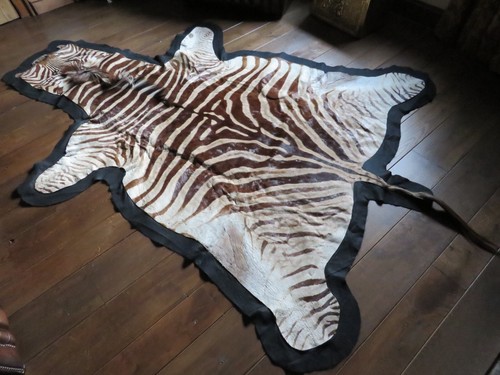 Real zebra skin hide - real,