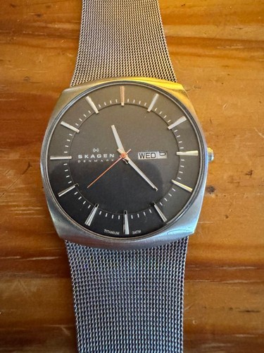 Skagen denmark titanium mesh - denmark,