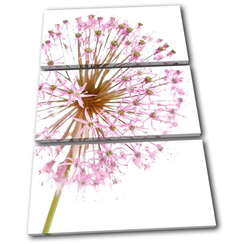 Flowers botanical floral - botanical,