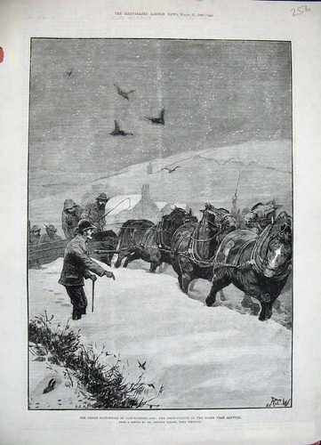 Original old antique print - old,