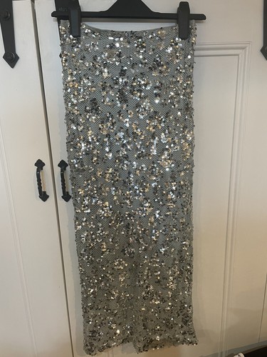 Zara silver sequin appliqué - zara,