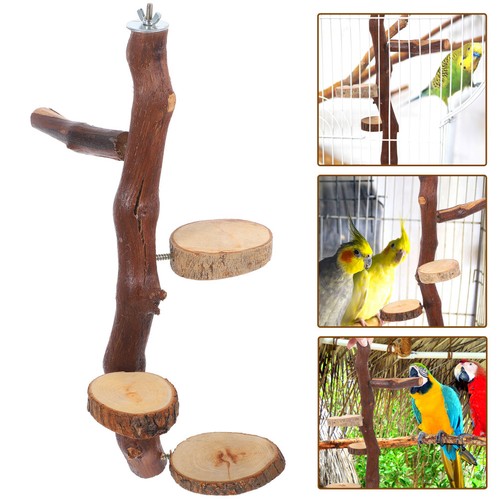 Home climbing board - climbing, parrot