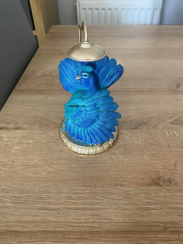Next peacock the shower - in,