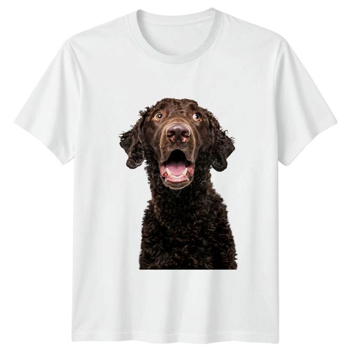 Happy brown curly dog portrait - brown,