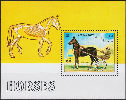 Afghanistan 1996 horses - afghanistan,