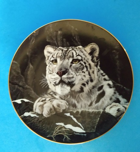 Himalayan snow leopard from - snow, leopard"