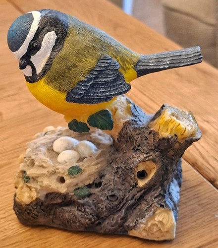 Chirping blue tit and nest - blue,