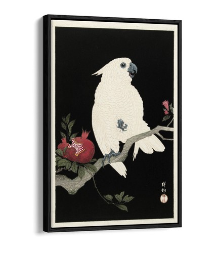 Ohara koson cockatoo and - ohara,