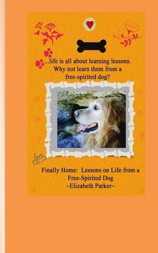 Finally home lessons life - lessons, on