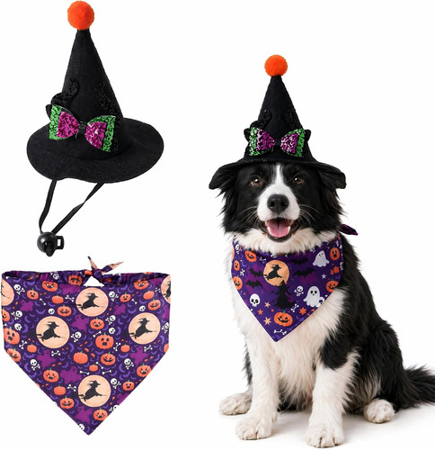 Dog halloween - dog,