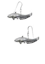 F46 wells Catfish Fish English