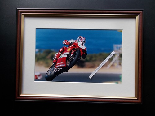 Australian troy bayliss - australian, motor