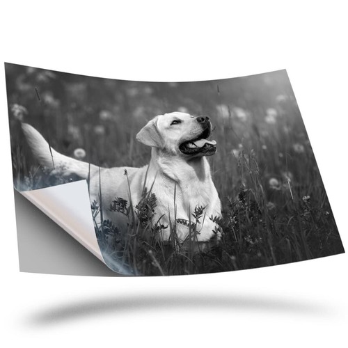 Vinyl sticker bw - 1,