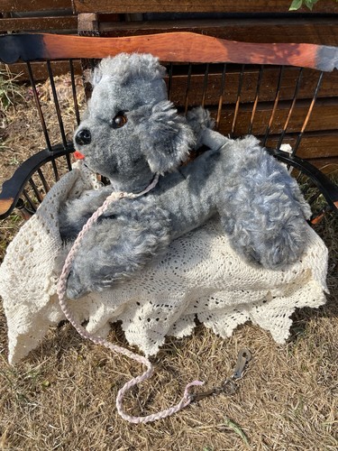 Blue teddy bear - teddy, poodle