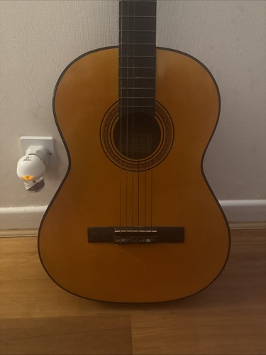 Rare winston guitar made - winston,