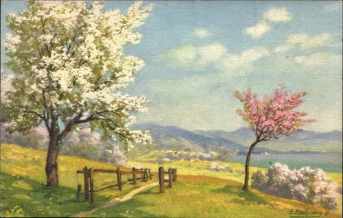 Bachmann artist scenic view - e,