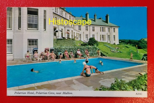 Postcard unused polurrian - postcard,