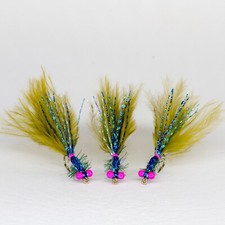 3 Blue Flash Damsel's    size