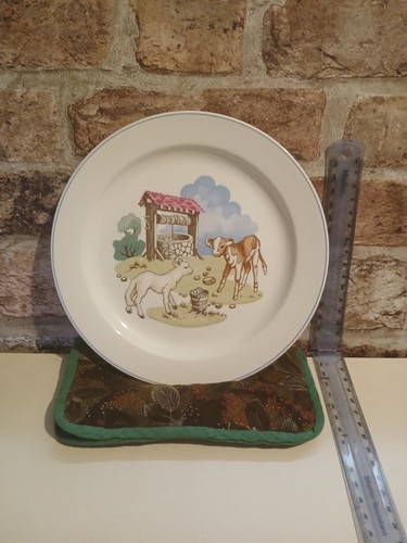 Vintage 1960s copeland spode - 1960s,