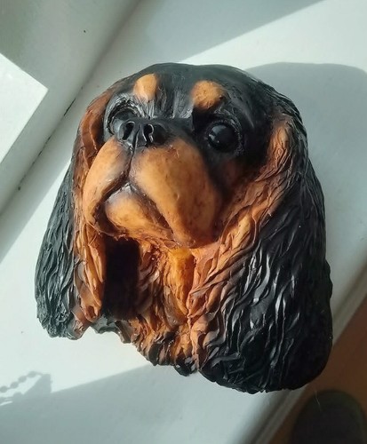 Cavalier king charles spaniel - cavalier,