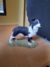 Border Standing Border Collie