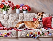 Greyhound Whippet on Sofa A5