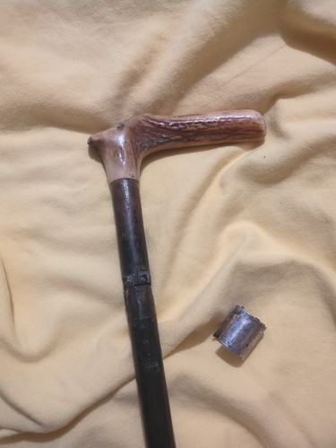1927 deer stag antler - 1927, cane