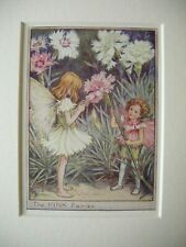 Vintage Flower Fairies Print &