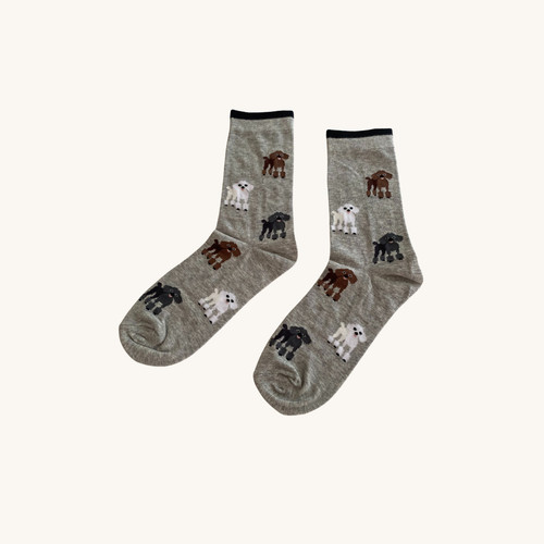 Poodle socks dog lover - poodle,