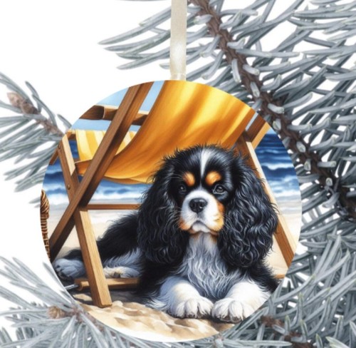 Cavalier king charles spaniel - charles,