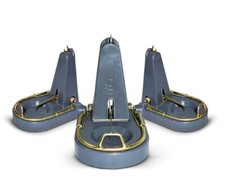 Black cat pro rat trap - cat,