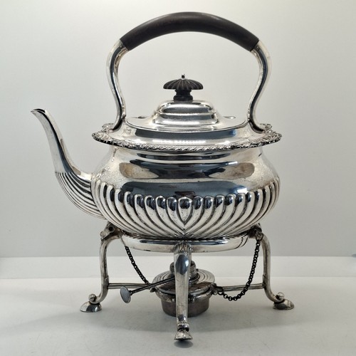 Silver plated spirit kettle - silver,