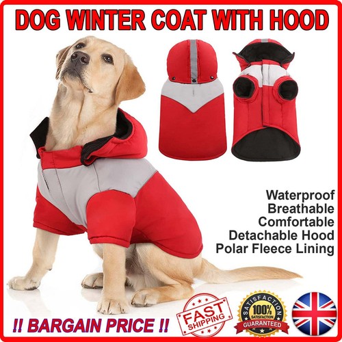 Kuoser dog winter - kuoser, coat
