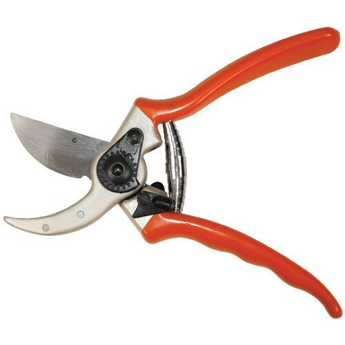 Pruning shears secateurs - pruning,