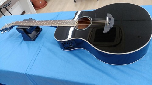 Yamaha apx600 electric - apx600,