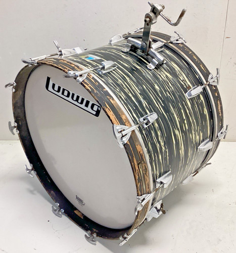 Ludwig black oyster - ludwig,
