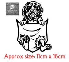 Newfoundland Puppy Owner Car