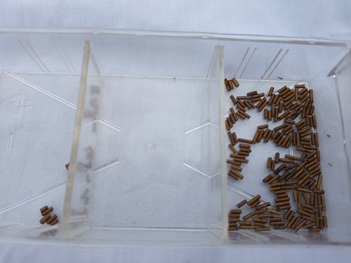 Brass grubscrew screws - brass,