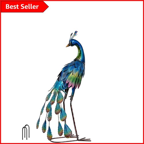 Charming outdoor peacock - charming,