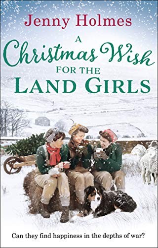 Christmas wish for the land - wish,