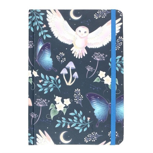 Night owl collection - owl,