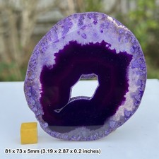 Agate Slice - Authentic
