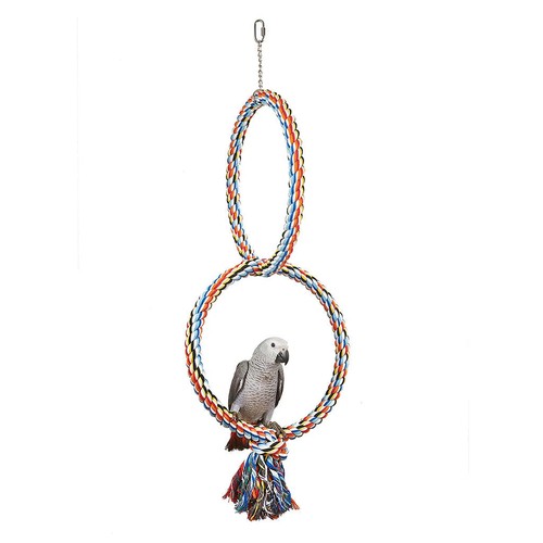 Double coloured parrot - double,