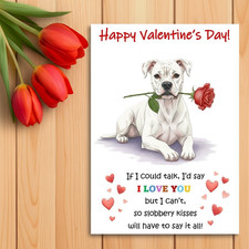 Boxer white Valentine’s Day