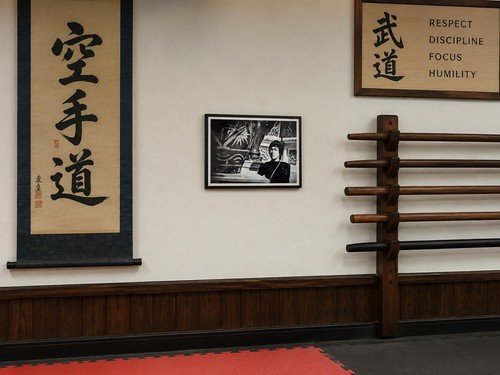 Bruce lee black and - lee,