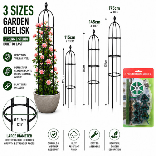 Large garden obelisk plants - garden,