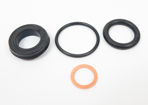 Rebuild seal kit for righetti - rebuild,